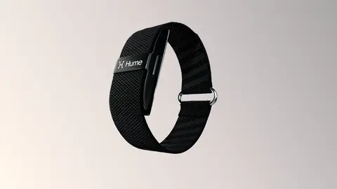 Hume Band: What 81 Angry Reviews Reveal