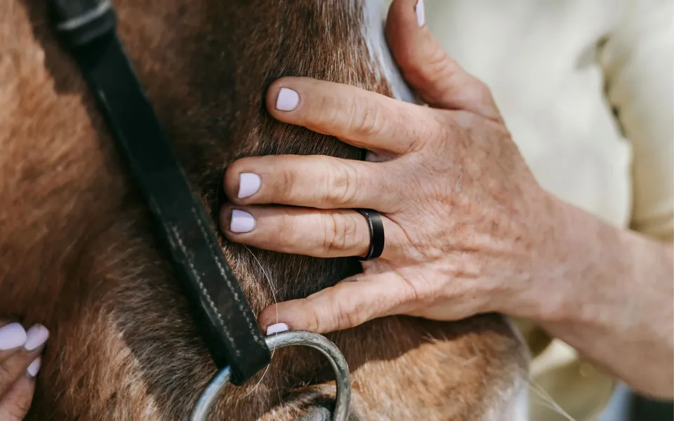 RingConn Gen 2: The Budget Smart Ring That Nearly Matches Oura