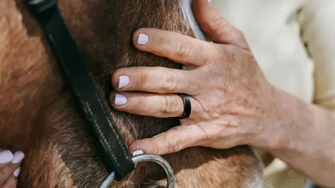 RingConn Gen 2: The Budget Smart Ring That Nearly Matches Oura