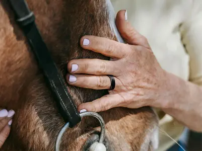 RingConn Gen 2 in Matte Black worn on finger