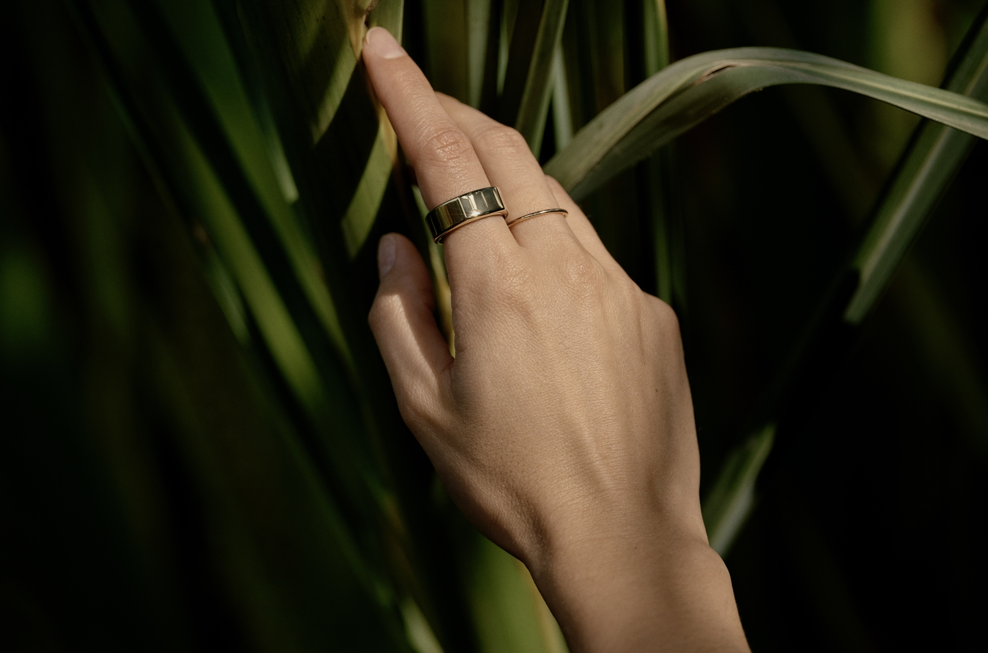 Oura Ring Generation 3 worn on hand near tropical plants